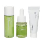 Celimax Noni Starter Kit