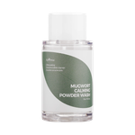 Успокаивающая энзимная пудра с полынью IsNtree Mugwort Calming Powder Wash